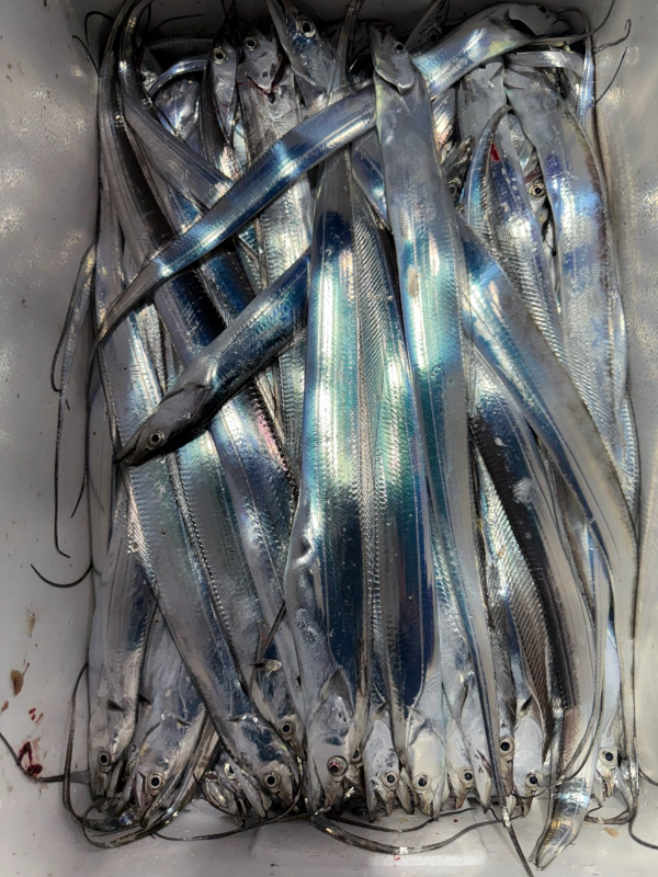 0189b697e7447e5b35f42b4268031e50.jpg