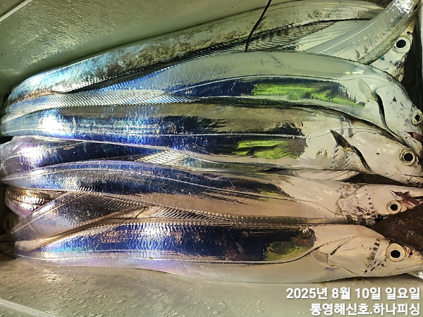 1754771093633.jpg