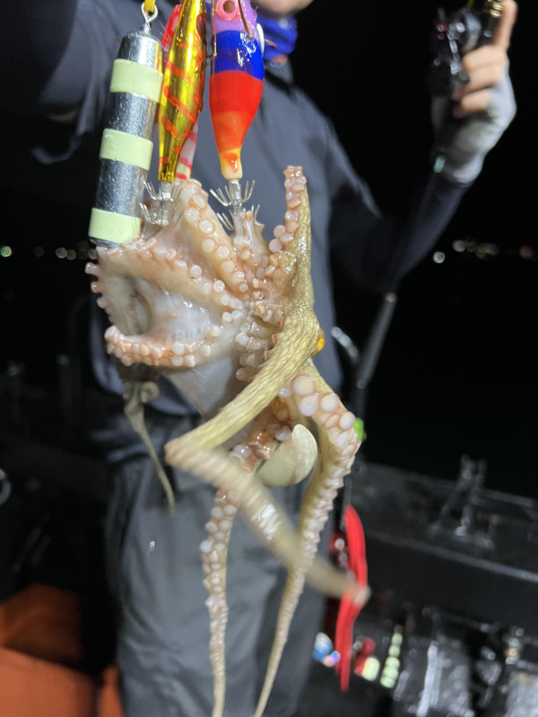 KakaoTalk_Photo_2025-08-31-19-11-32 011.jpeg