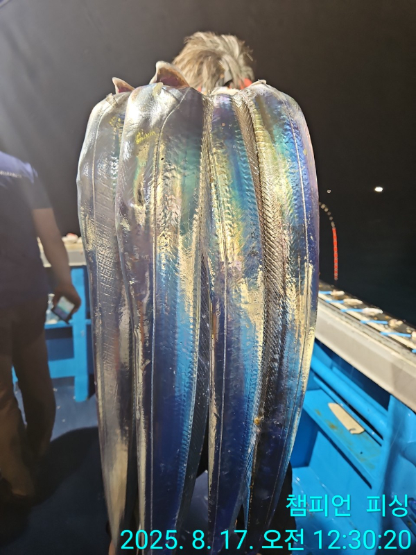 BandPhoto_2025_08_17_12_30_59_16.jpg