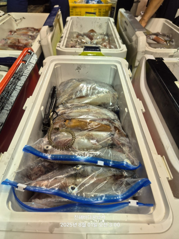 바다꾼낚시(신아라호)_사진_20250801_10.jpg