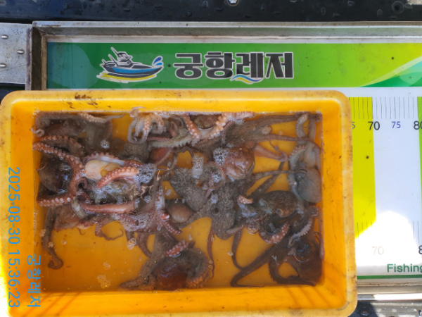 궁항레저_사진_20250830_4.jpg