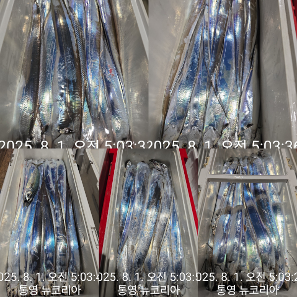1000068227.jpg