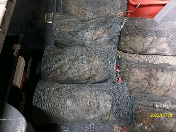 DateCamera0828071726.jpg