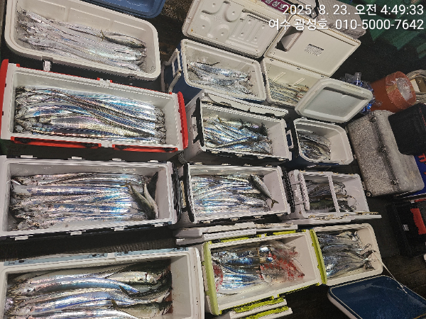 KakaoTalk_20250823_172651676_08.jpg