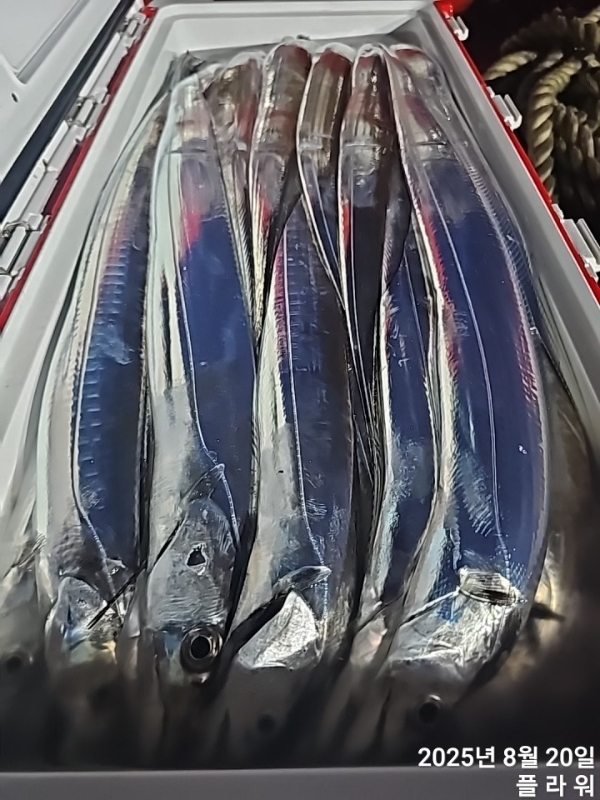 1755635306591.jpg