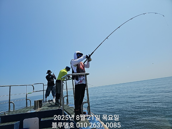 20250821_113904.jpg