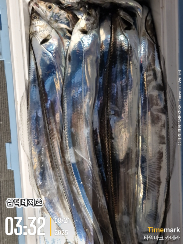 1755745382130.jpg