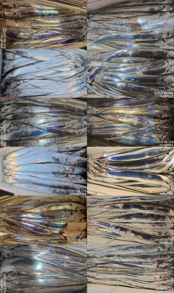 1755920060356.jpg