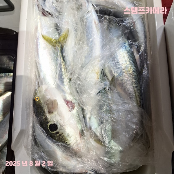 KakaoTalk_20250802_135732285_03.jpg