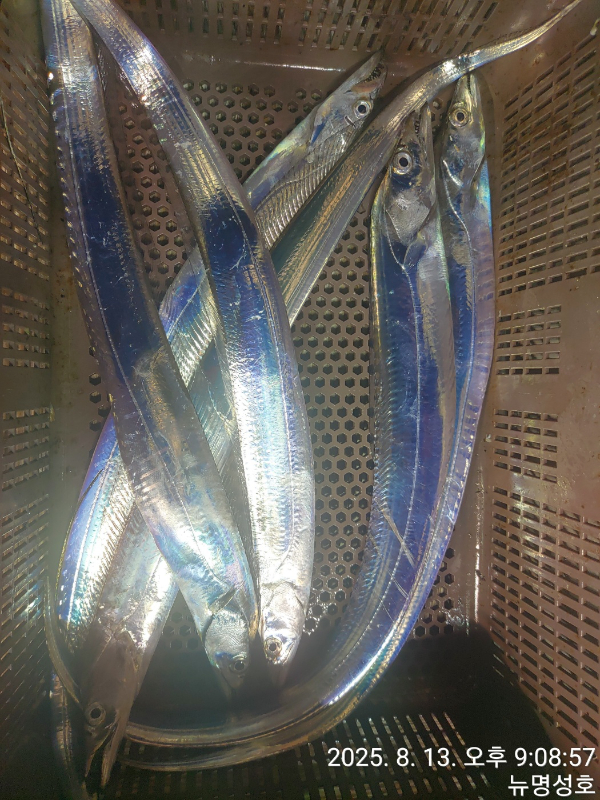 1000066408.jpg