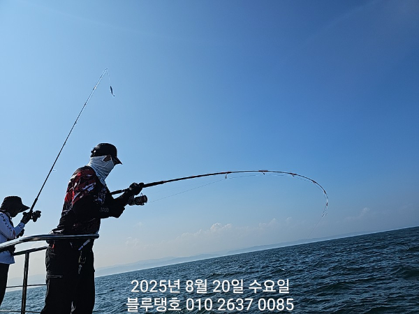 20250820_152554.jpg