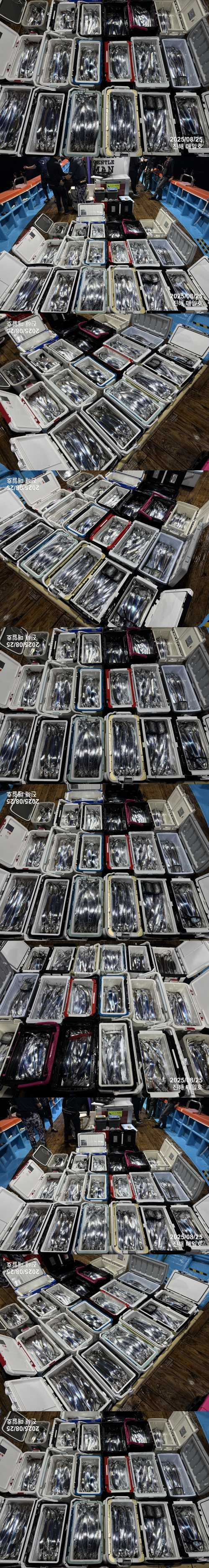 갈치4.jpg