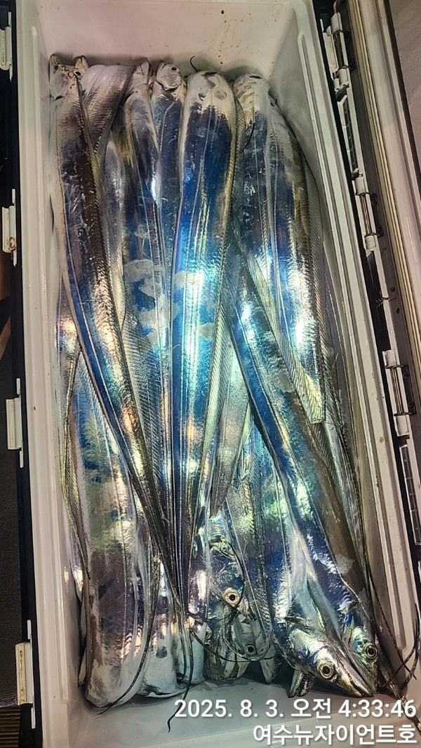 1754173239971-7.jpg