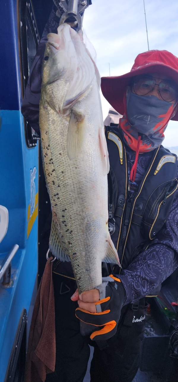 예지퀸호 농어외수질&어초낚시 경기인천권_사진_20250808_11.jpg