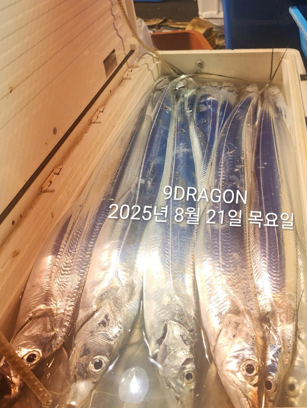 4A226A3E-5F24-4090-AA71-F53823F40103.jpeg