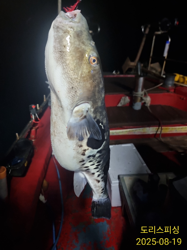 IMG_20250819_003143.jpg