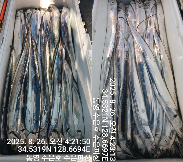1756156863274-tile.jpg