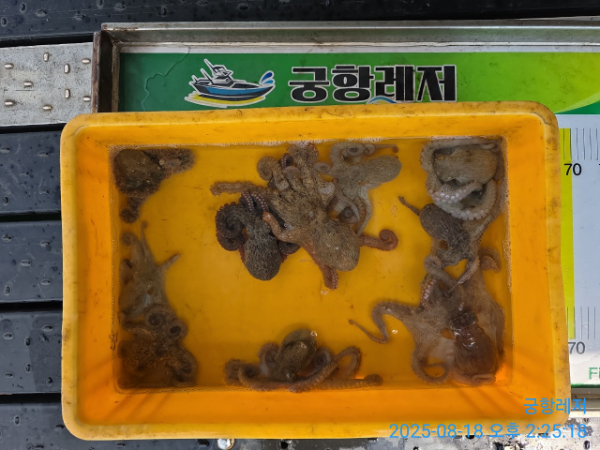 궁항레저_사진_20250822_2.jpg