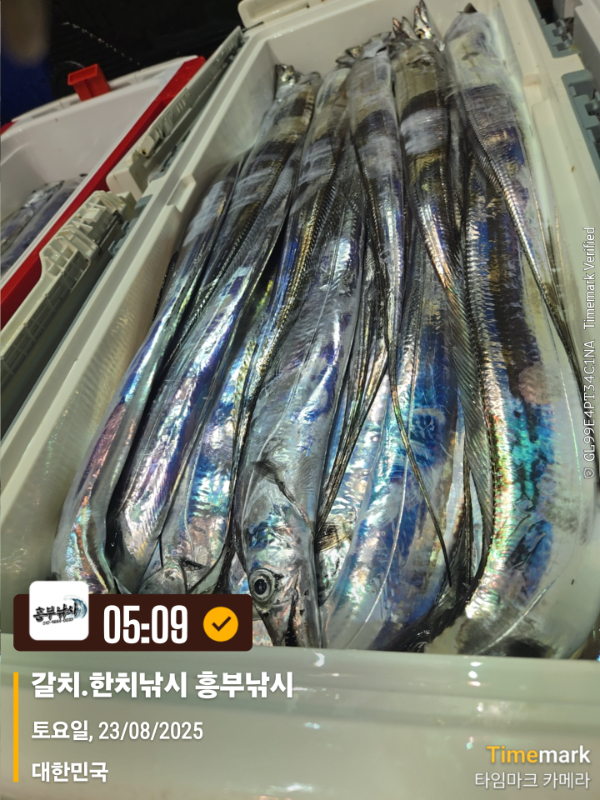 2025-08-23 05.09.24_대한민국_(제목-갈치.한치낚시 흥부낚시).jpg