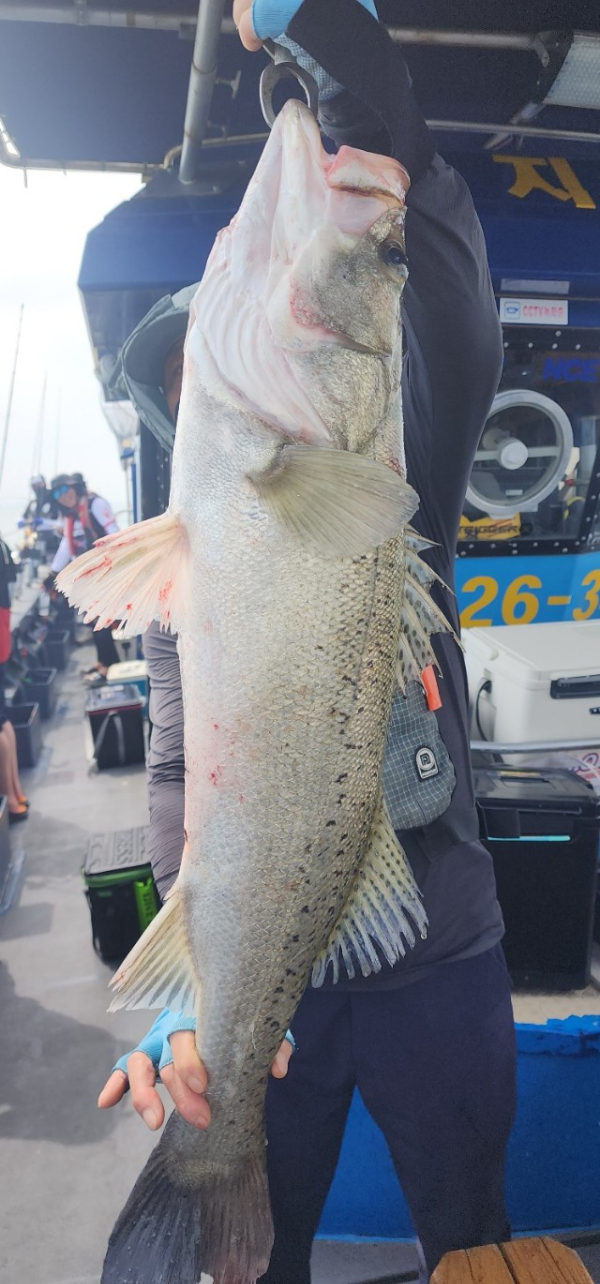 예지퀸호 농어외수질&어초낚시 경기인천권_사진_20250808_5.jpg
