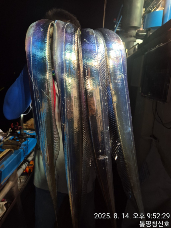 바다의 전설 부평25_사진_20250815_11.jpg