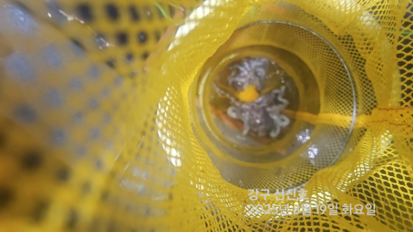 신신낚시 강구점 신신호_사진_20250820_10.jpg