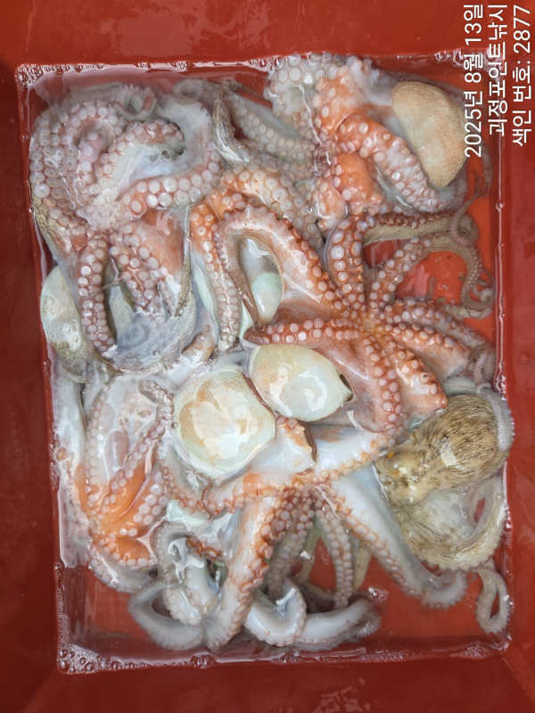 KakaoTalk_20250813_143428509_11.jpg