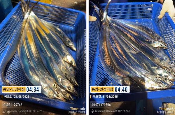 이미지.jpeg