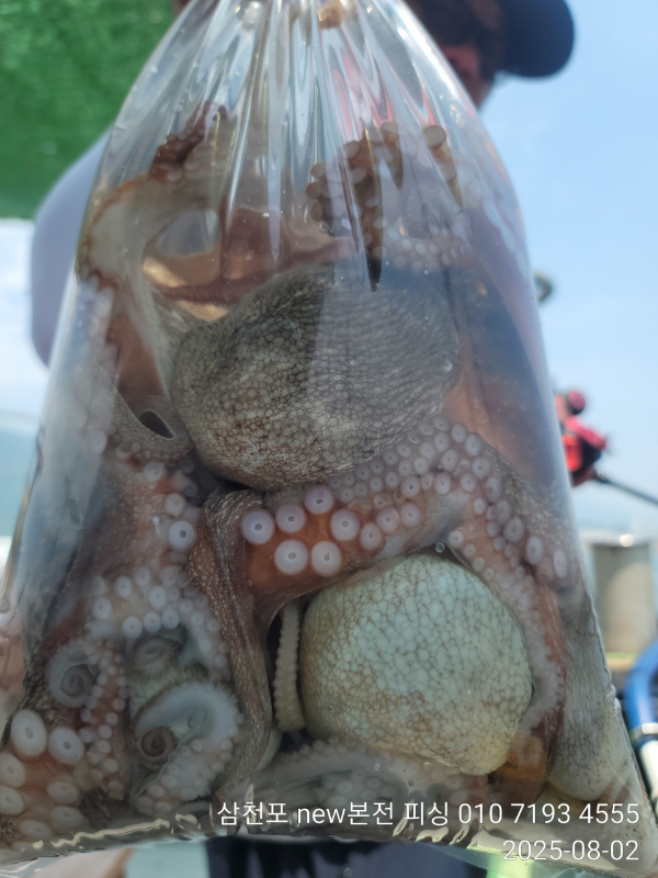 Resized_IMG_20250802_125045.jpeg