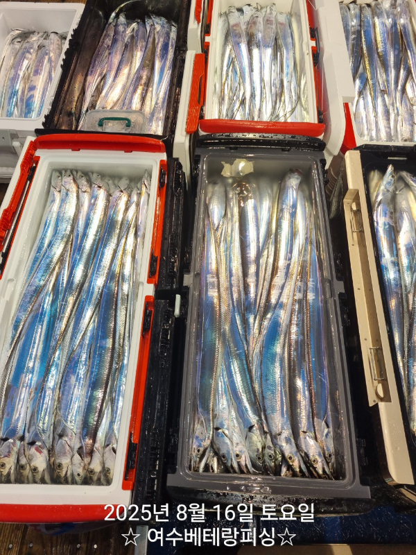 1000081566.jpg