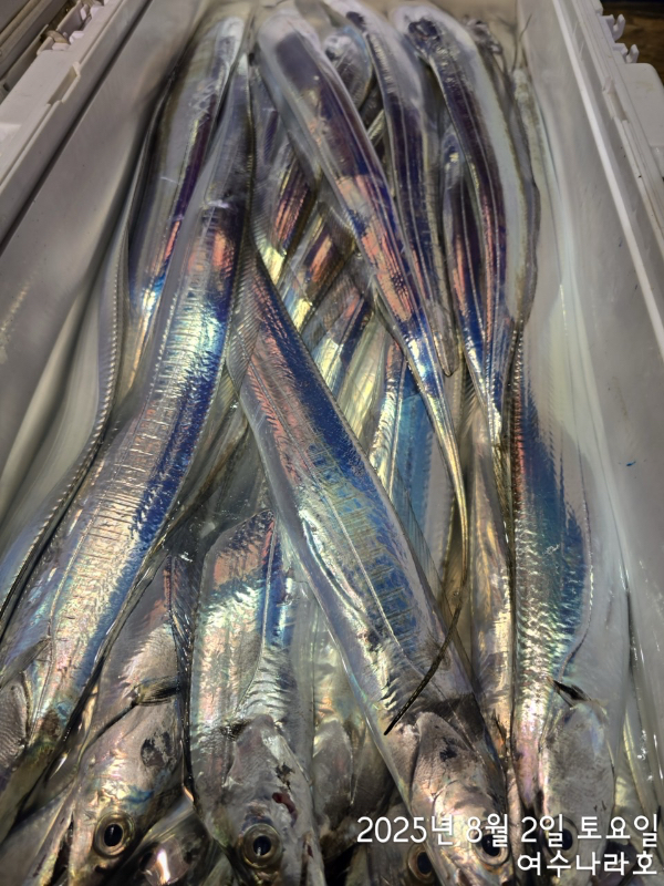 1F5E6EDB-4698-4294-918F-228E4ECF13A9.jpeg