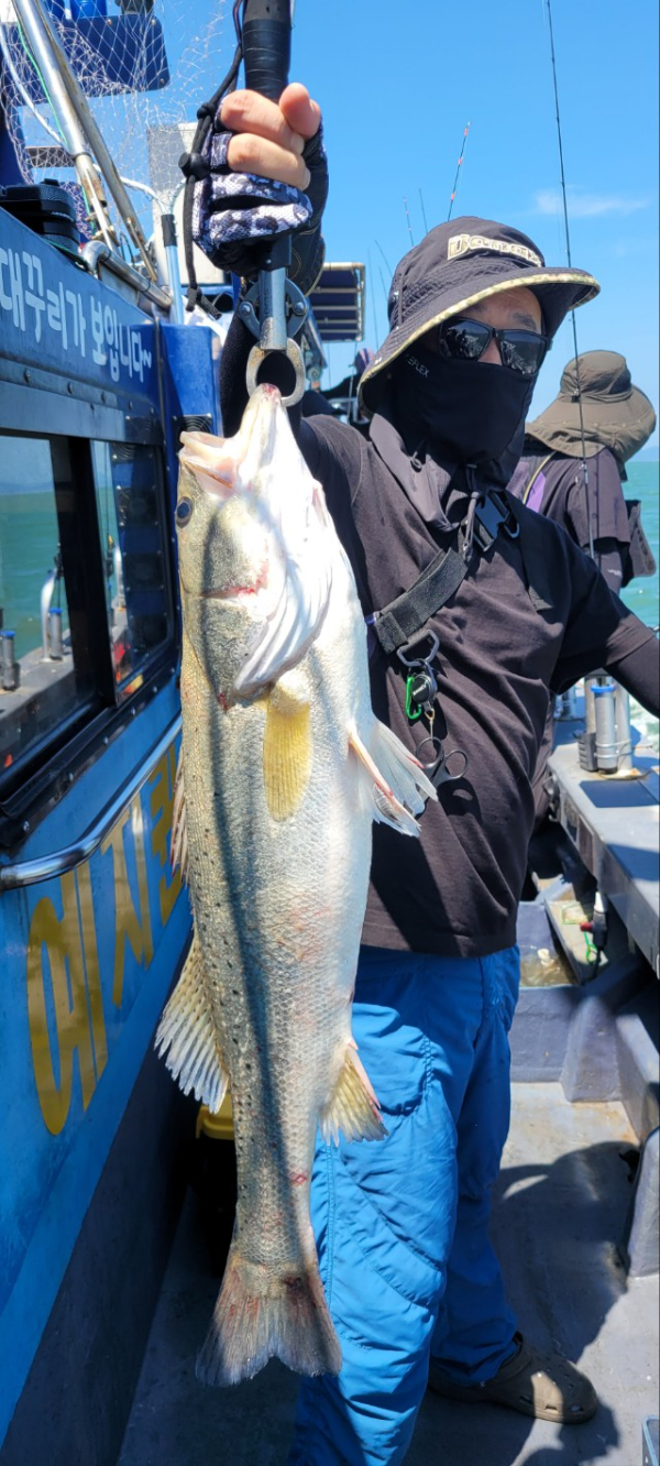 예지퀸호 농어외수질&어초낚시 경기인천권_사진_20250811_16.jpg