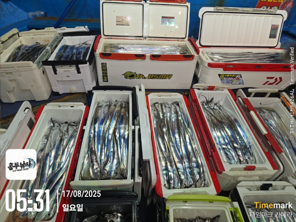 08dd124d354bb6dae838074de83a6adb.jpg