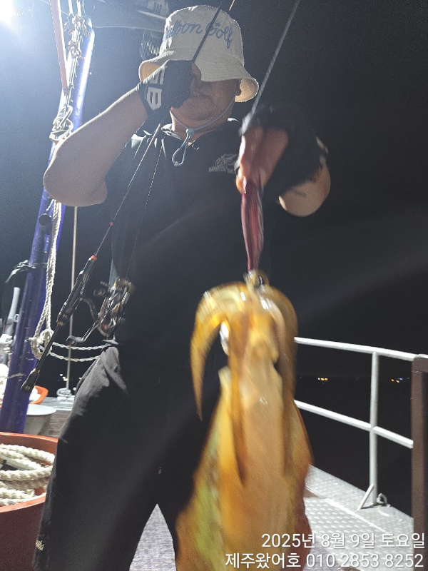 제주왔어호_사진_20250810_9.jpg