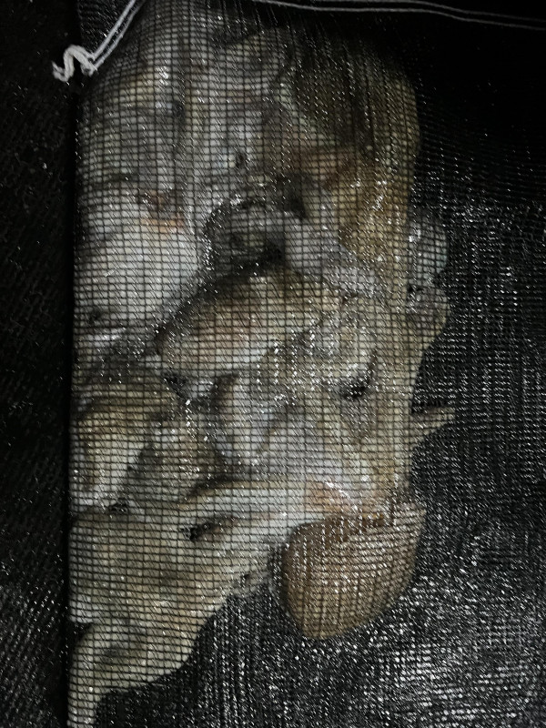 KakaoTalk_Photo_2025-08-31-19-11-33 015.jpeg