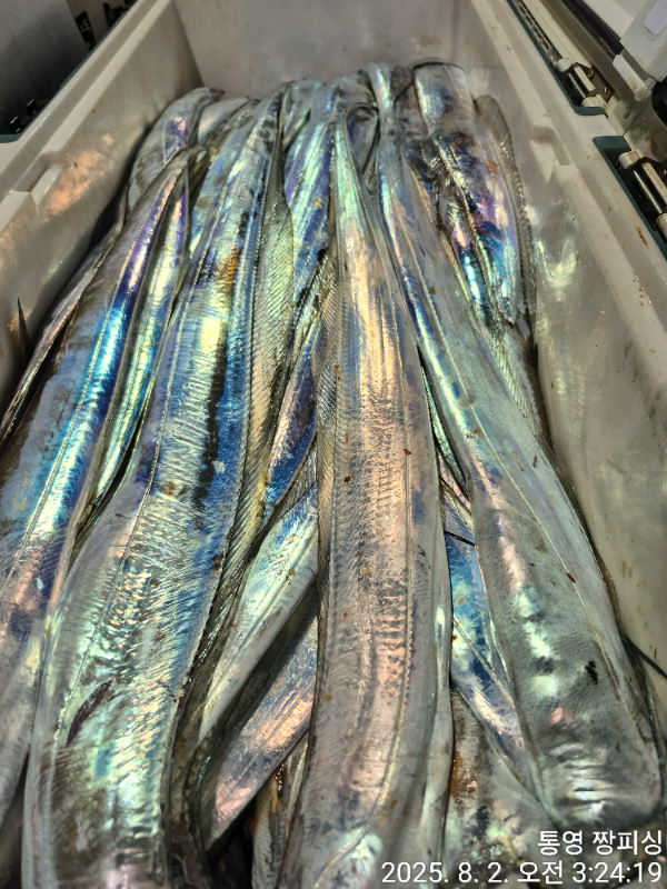 1000055301.jpg
