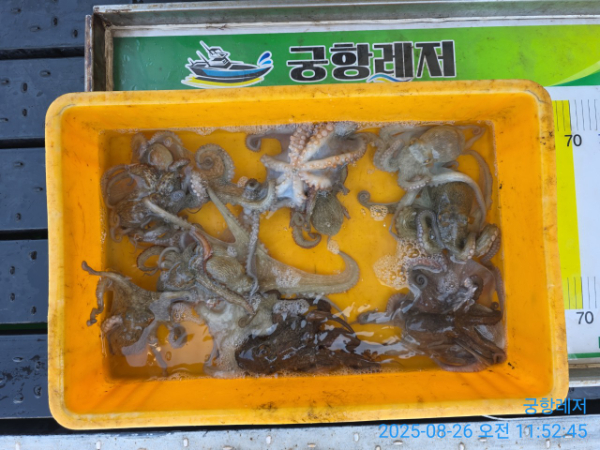 궁항레저_사진_20250826_3.jpg