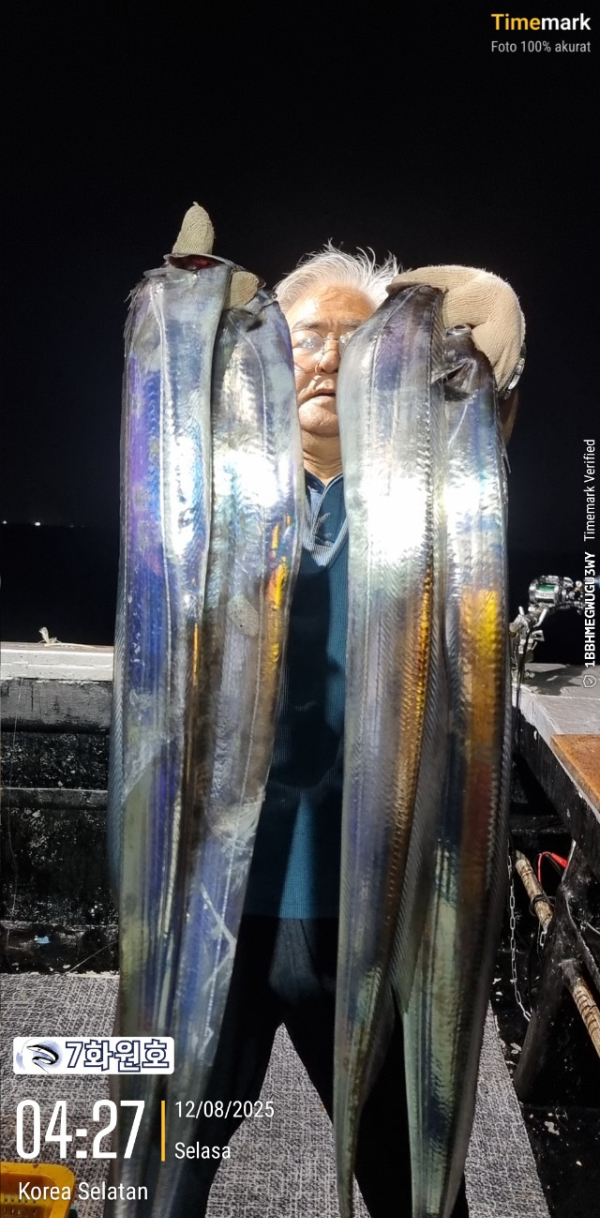 제주갈치낚시 화원호_사진_20250812_2.jpg