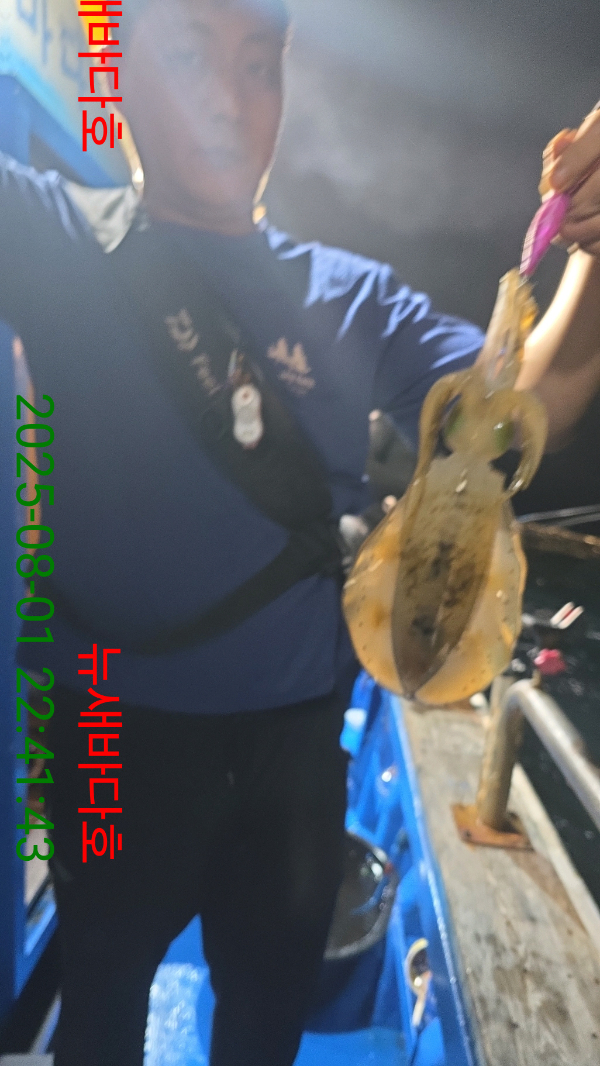 0ad313a64d2da3d63e5090f19ab14a45.jpg