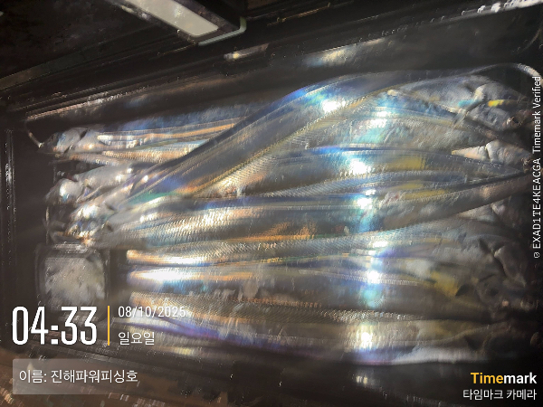 2025-08-10 04.33.04_(이름-진해파워피싱호).jpeg