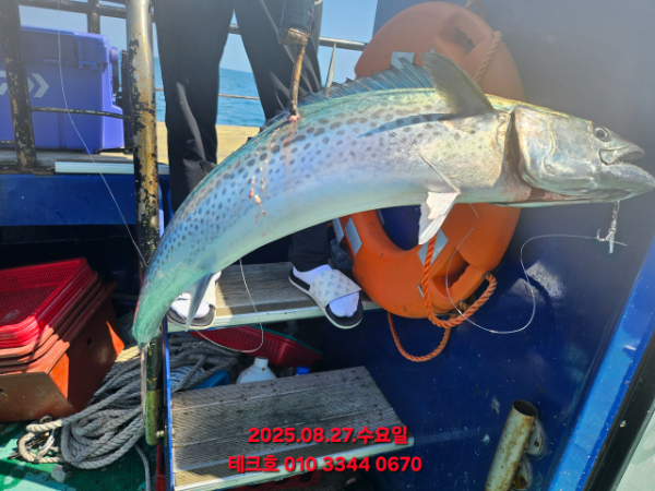 KakaoTalk_20250827_134349557_07.jpg