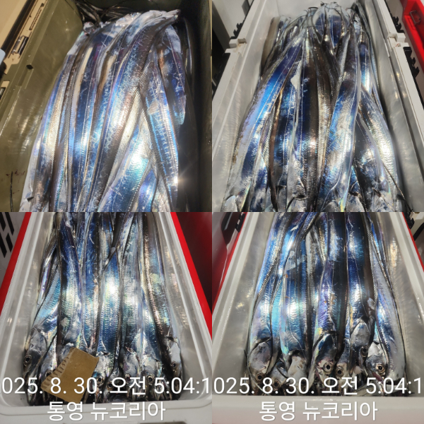 1000070897.jpg