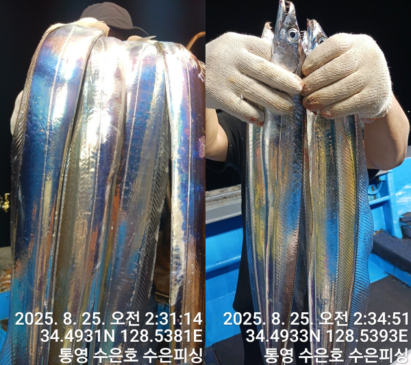 1756070483169-tile.jpg