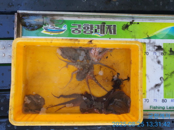궁항레저_사진_20250826_2.jpg