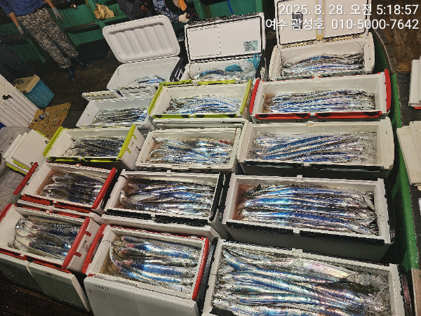 KakaoTalk_20250828_184111505_10.jpg