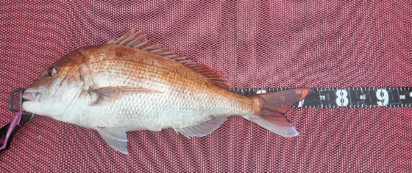 1000042012.jpg