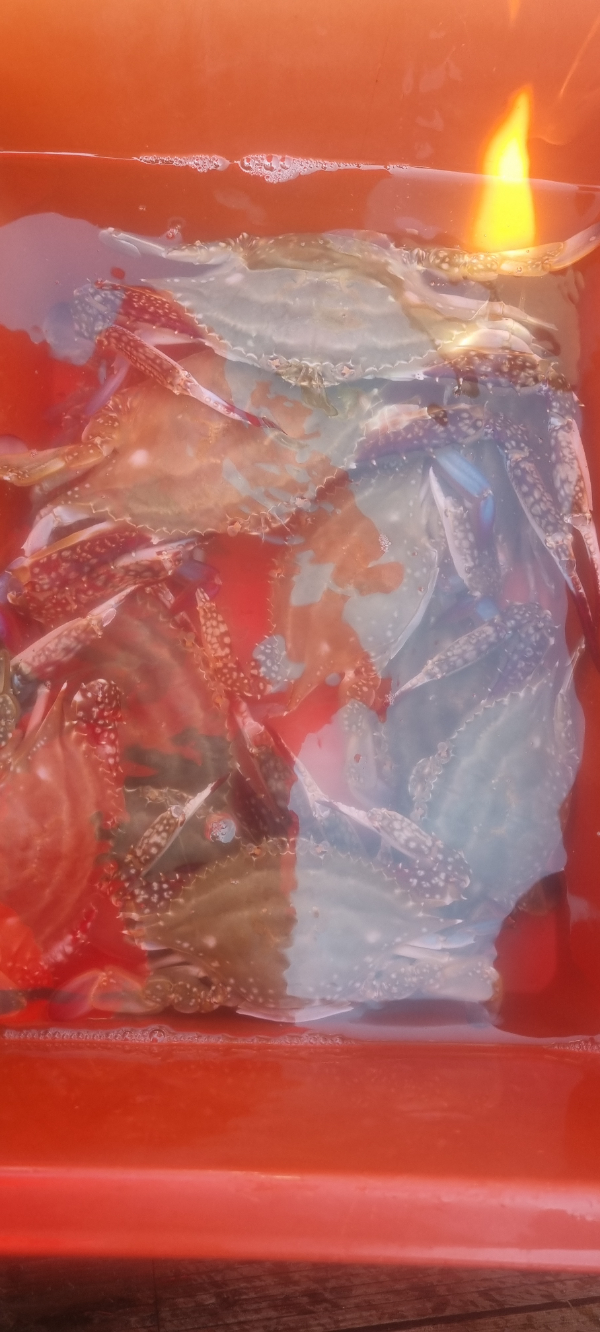 20250824_143645.jpg
