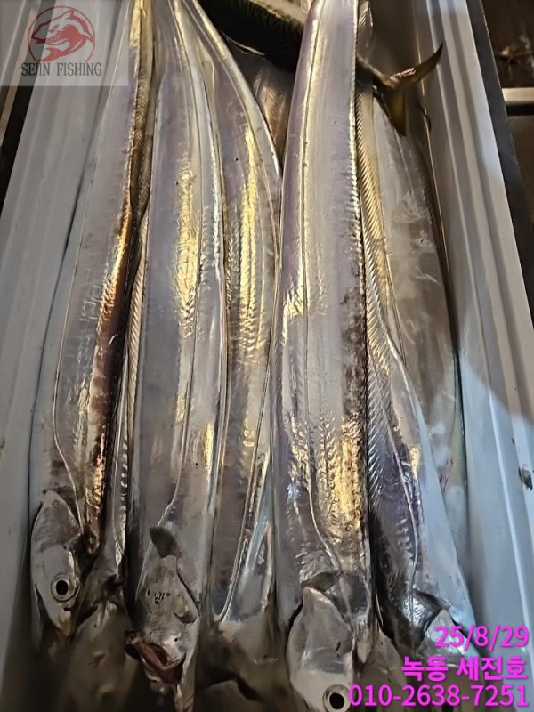 KakaoTalk_20250829_071543903_09.jpg