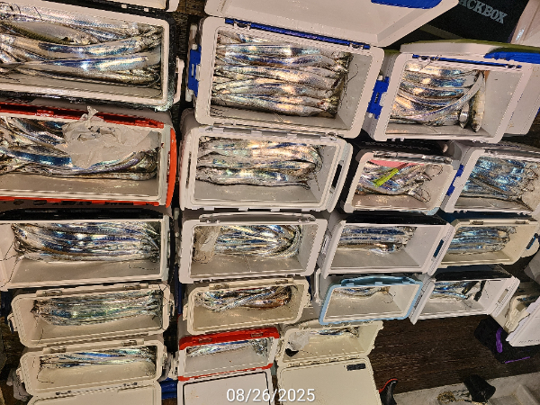 1000037680.jpg